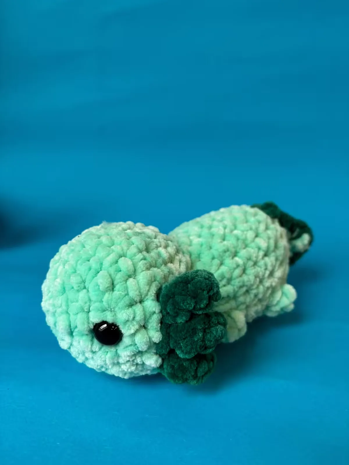 Miętus — Zielony Axolotl